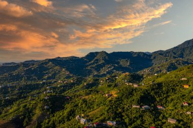 dağlar, orman, insansız hava aracı manzaralı evler.