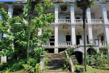 Ağaçların arkasındaki üç katlı bina yıkıldı.