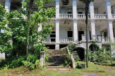 Ağaçların arkasındaki üç katlı bina yıkıldı.