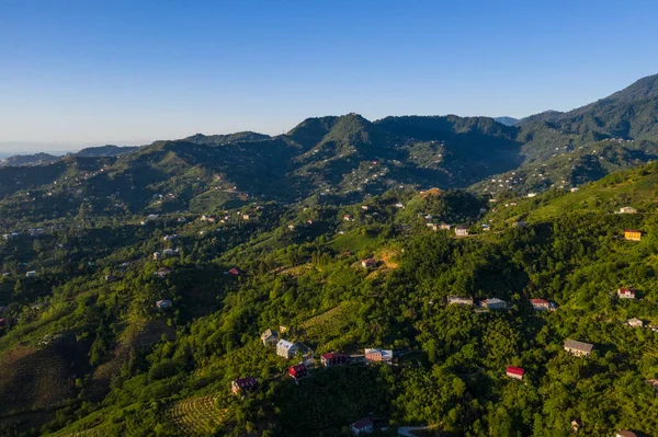 mountains, forest, houses view from the drone