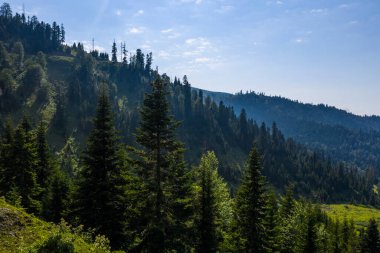 Dağlardaki yeşil orman İHA 'dan görünüyor