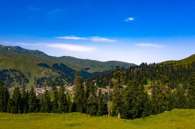 İHA 'dan yeşil orman ve çimen manzarası