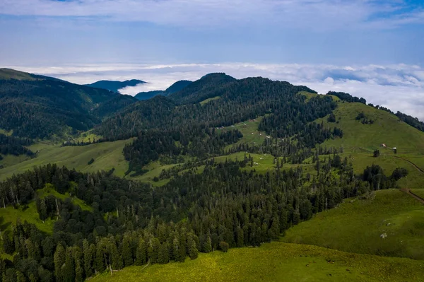 Montanhas Vista Grama Verde Drone — Fotografia de Stock