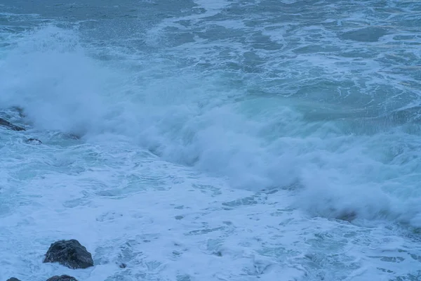 Dalgalar Karadeniz Tetrapodlara Çarpıyor — Stok fotoğraf