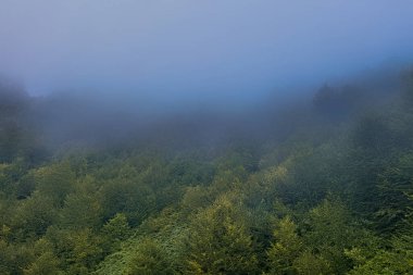Goderzi 'deki dağlar, Adjara, Georgia