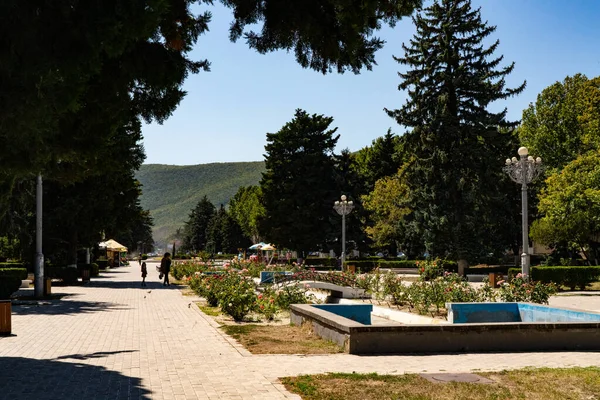 Gori Gürcistan Tanrı Nın Annesi Katedrali — Stok fotoğraf