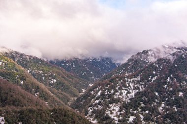 Kışın Mtirala Ulusal Parkı İHA ile, Adjara, Georgia