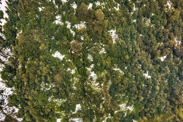 Parque Nacional Mtirala Inverno Com Drone Adjara Geórgia — Fotografia de Stock