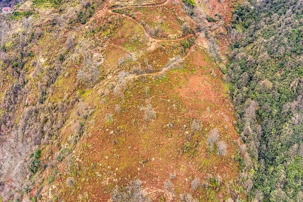 Parque Nacional Mtirala Inverno Com Drone Adjara Geórgia — Fotografia de Stock
