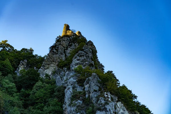 Alta Montanha Cinza Floresta — Fotografia de Stock