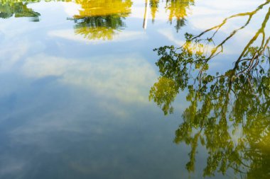 Ağaçlar gölde yansır