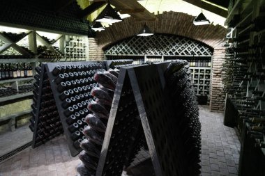 Şarap mahzeninde şarap şişeleri