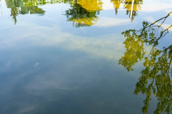 Gli Alberi Riflettono Nello Stagno — Foto Stock