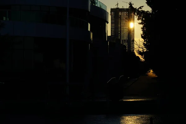 Sunset Windows New Building — Stock fotografie