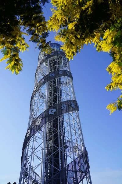 Memoza Árvore Fundo Céu Azul Uma Torre — Fotografia de Stock