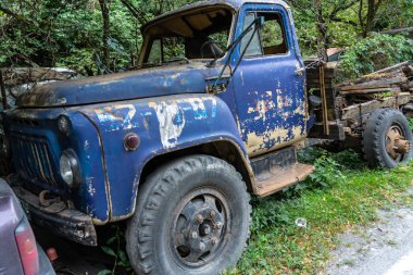 Çalılıkların arasında paslı, antika arabalar.