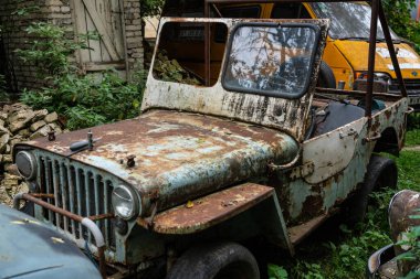 Ağaçların arasında paslı, antika arabalar.