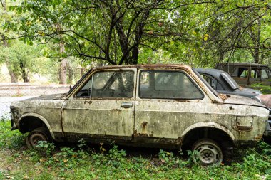 Ağaçların arasında paslı, antika arabalar.