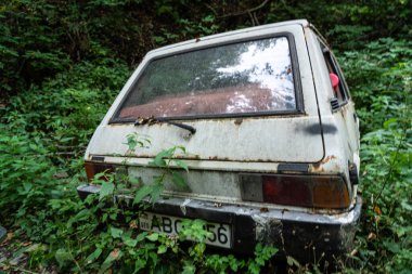 Çalılıkların arasında paslı, antika arabalar.