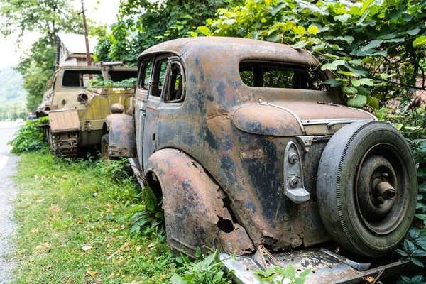 Very Old Cars Thickets Trees — Zdjęcie stockowe