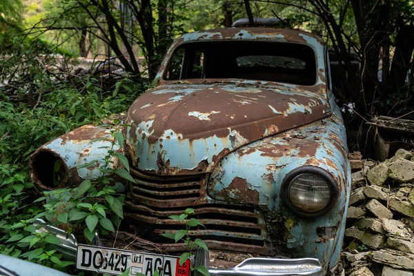 Vintage Rusty Cars Thickets Trees — Zdjęcie stockowe