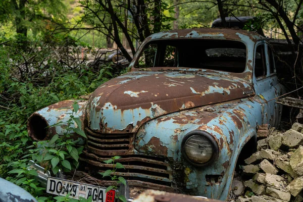 Vintage Voitures Rouillées Dans Les Fourrés Arbres — Photo