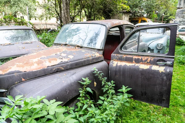 Старинные Ржавые Машины Зарослях Деревьев — стоковое фото