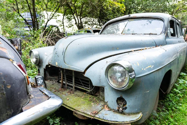 Старинные Ржавые Машины Зарослях Деревьев — стоковое фото