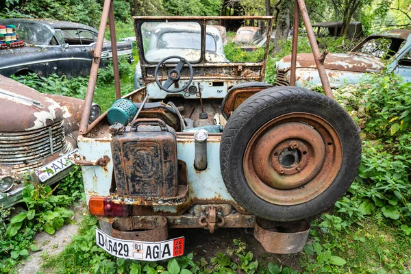 Coches Oxidados Vintage Matorrales Árboles — Foto de Stock