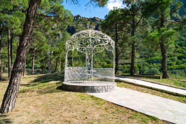 Ormanda beyaz bir çardak.