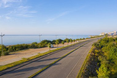 İnsansız hava aracından ormana ve yola bak.