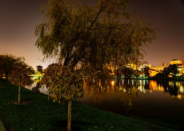 Ночной Город Отражается Озере — стоковое фото