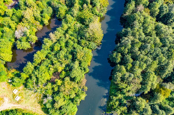 View from the drone to the mountains and the forest and the sea