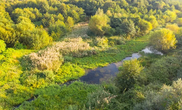 Vista Dal Drone Alla Foresta Alla Strada — Foto Stock