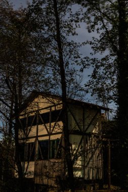 İki katlı evler, siyah ağaçlar, mavi gece gökyüzü