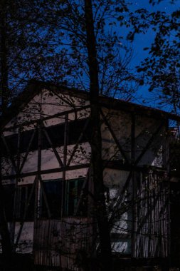 İki katlı evler, siyah ağaçlar, mavi gece gökyüzü