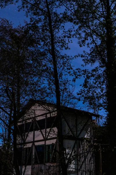 Casas Dos Pisos Árboles Negros Cielo Azul Nocturno —  Fotos de Stock