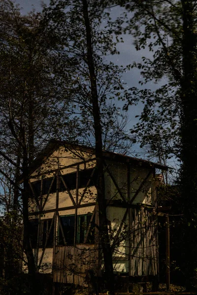 İki katlı evler, siyah ağaçlar, mavi gece gökyüzü