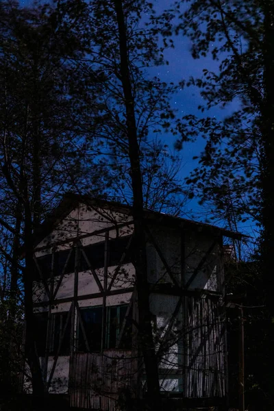 Casas Dos Pisos Árboles Negros Cielo Azul Nocturno — Foto de Stock