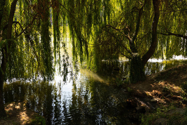 Cafe by the river beautiful view