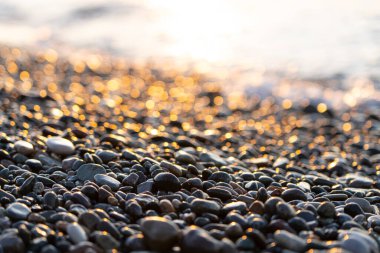 Taş sahildeki güneşin parlaklığı.