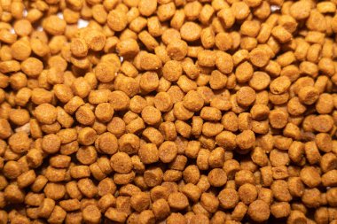 Makro fotoğrafçılıkta kedi maması topakları