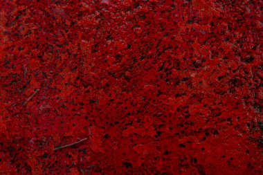 Soyut bir arkaplan olarak kırmızı kaldırım