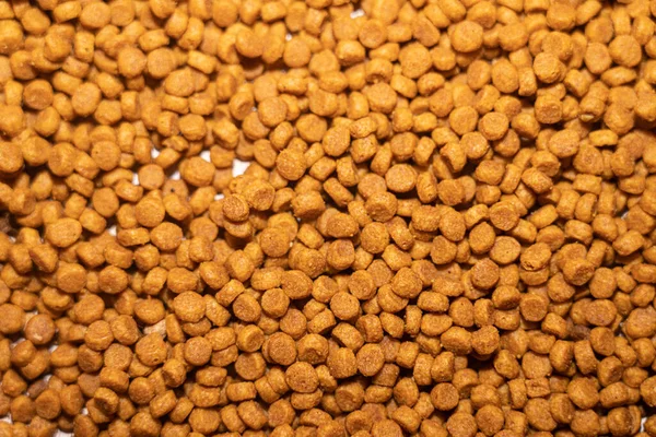 Kattenvoer Pellets Macro Fotografie — Stockfoto