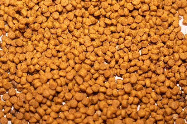 Pellets Comida Para Gatos Macrofotografía —  Fotos de Stock