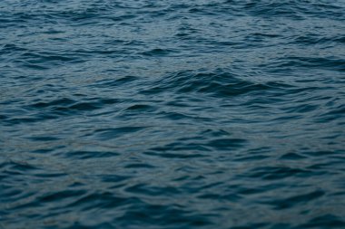arka plan deniz şeklinde, güzel doku arkaplanı