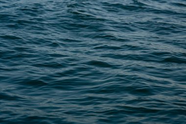 arka plan deniz şeklinde, güzel doku arkaplanı