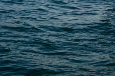 arka plan deniz şeklinde, güzel doku arkaplanı