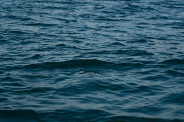 arka plan deniz şeklinde, güzel doku arkaplanı