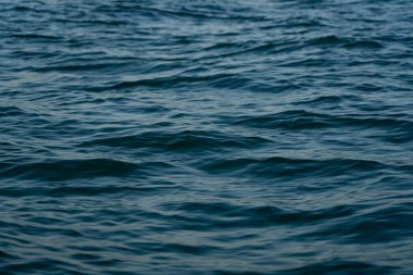 arka plan deniz şeklinde, güzel doku arkaplanı